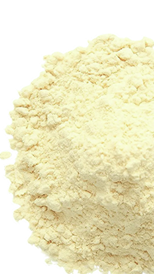 Organic Pea Protein