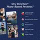Plant-Based Protein thumbnail 2