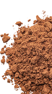 Cocoa Powder