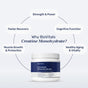 Creatine Monohydrate thumbnail 3