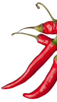 Capsimax® Cayenne Fruit Extract