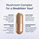 Mushroom Complex thumbnail 4